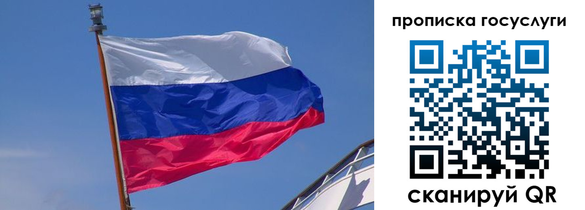 временная регистрация купить в Зеленоградске